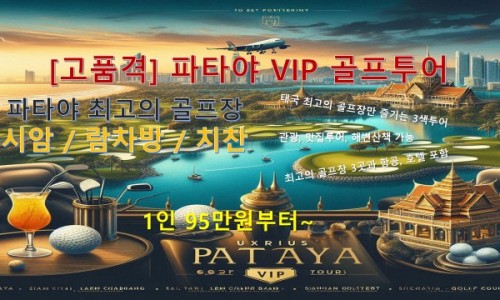 노블버디골프 이미지