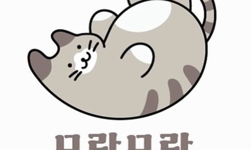 모람모람 이미지