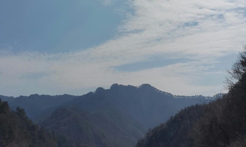 싸리목캠핑장 이미지