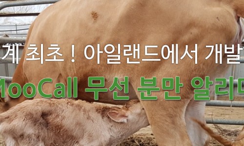 미르영농조합법인 이미지