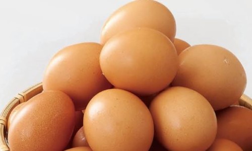 파동마트 이미지