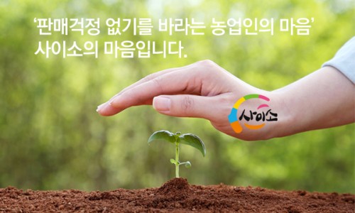 요기사이소 이미지