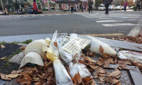 법무법인서정 이미지