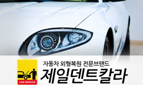 제일덴트칼라 이미지