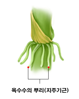 운학골 이미지