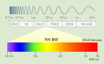 빛 흡수