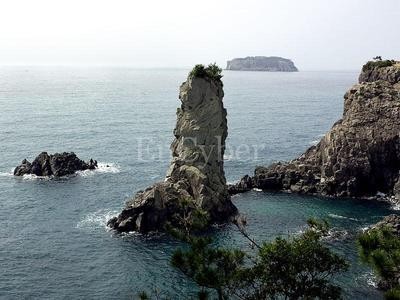 월평수퍼 이미지