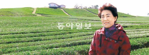 다희연 이미지