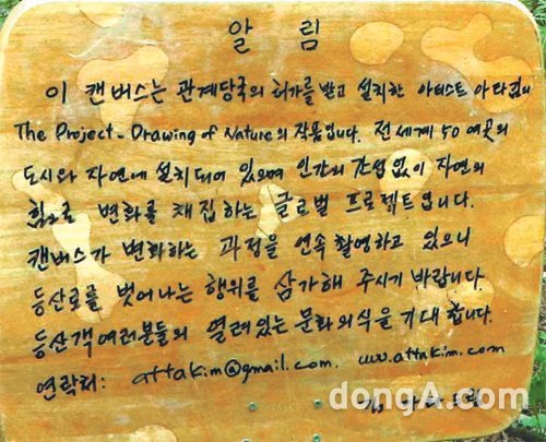 들꽃화원 이미지