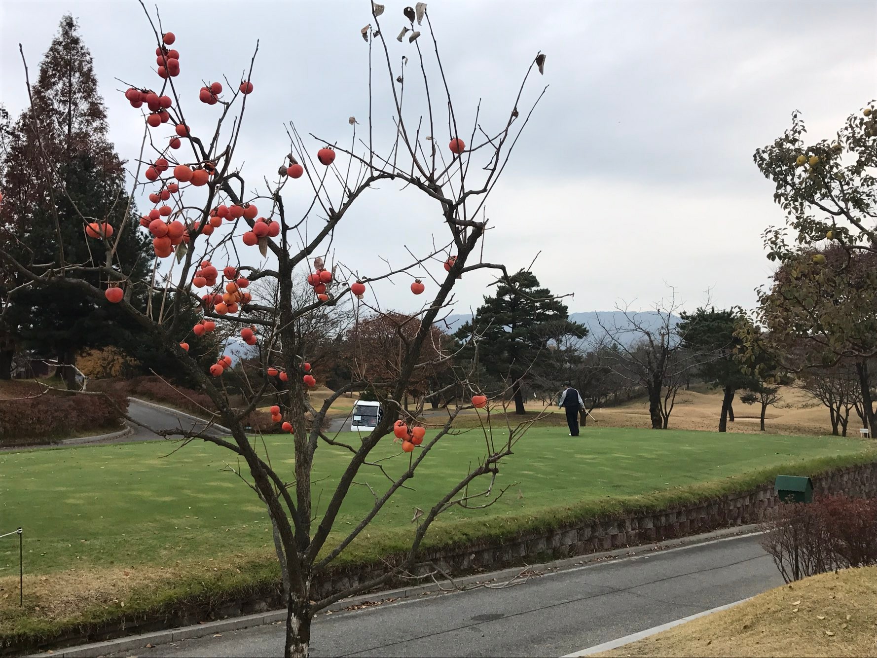 (주)골프큐브 이미지