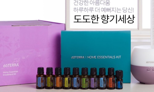 도테라코리아(유) 이미지