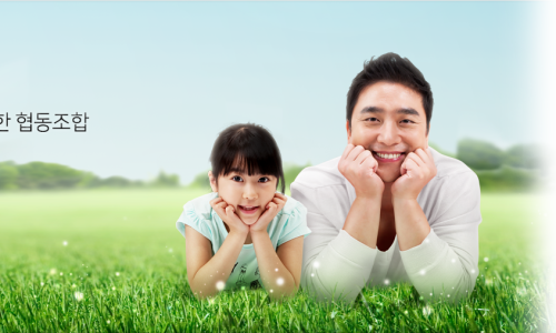 두드림협동조합 이미지
