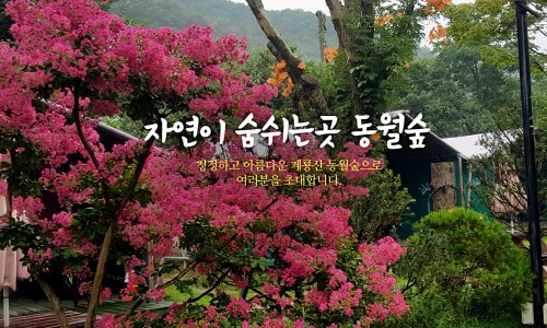 계룡산글램핑 동월숲 이미지