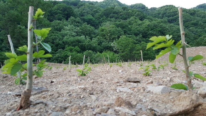 성부유통 이미지