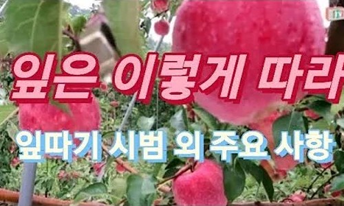 화신화학(주) 이미지