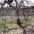화신화학(주) 이미지