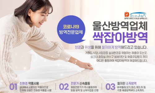 서동방역 이미지