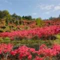 주식회사 승주 이미지