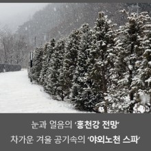 까미노데플로레스타 이미지