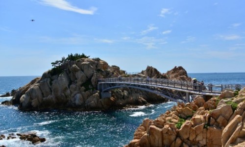 (주)삼성여행사 이미지