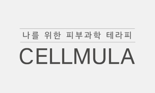 은성정보통신 이미지