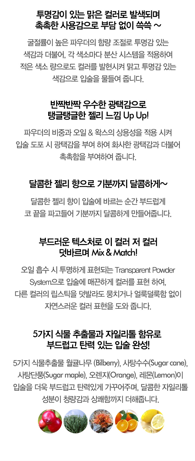 디어젤리 이미지