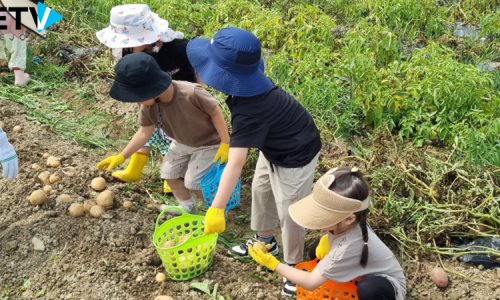 발동동체험마을영농조합 이미지