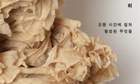 갤러리 틈 이미지
