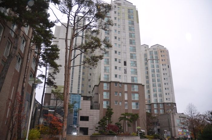 하늘미소치과의원 이미지