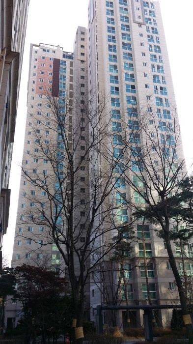 미모아피부과의원 이미지