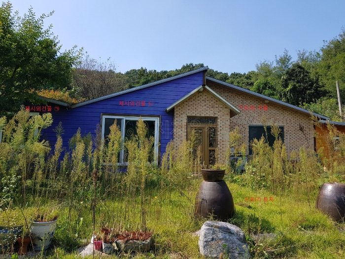 세븐일레븐 양감초록로점 이미지