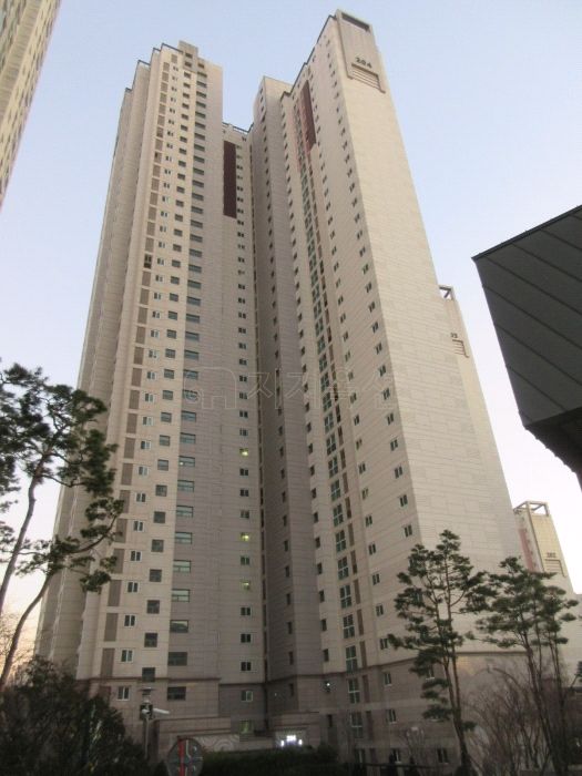 미모아피부과의원 이미지