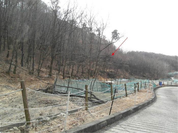파리바게뜨 삼성SDI기흥본사점 이미지