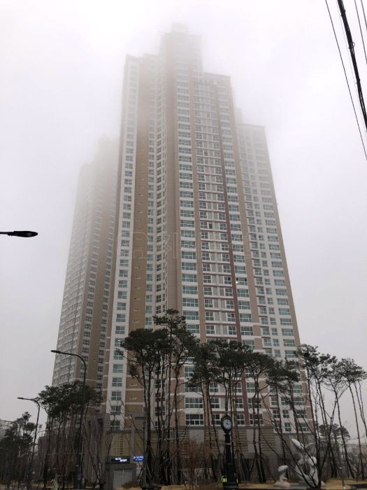 효원산부인과 이미지