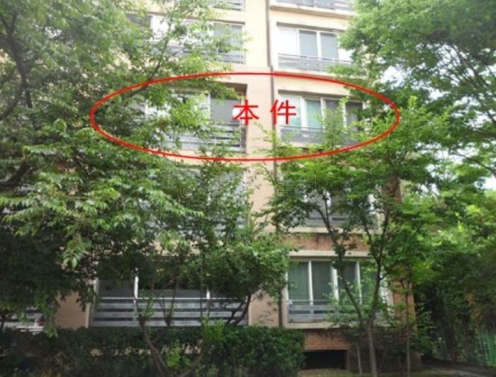 드림365내과의원 이미지
