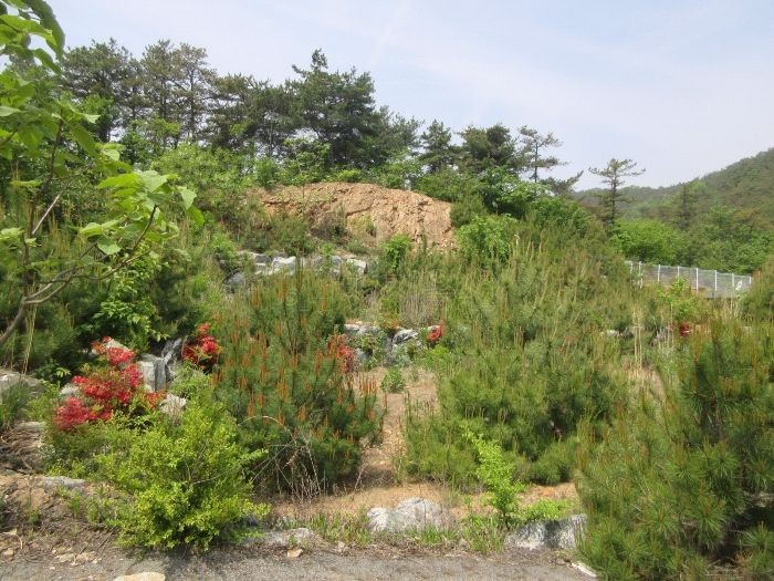GS25 향남서부점 이미지