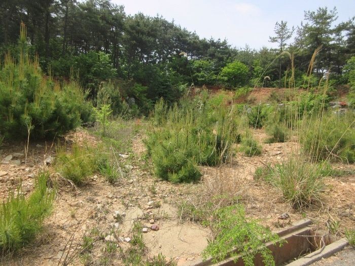 GS25 향남서부점 이미지