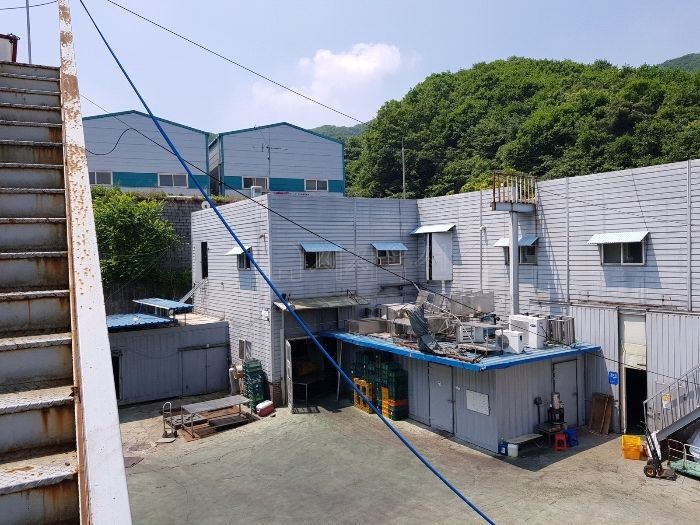 목동텃밭 이미지