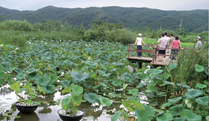 신세계환경 이미지