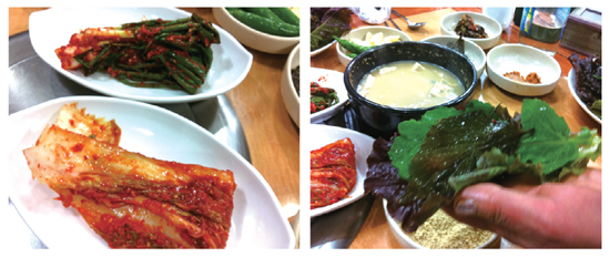 돼지한마당 이미지
