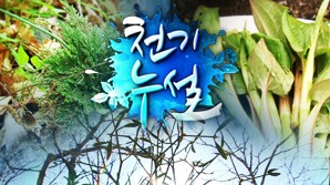 천기누설식품 이미지