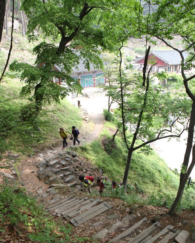 제로존 이미지