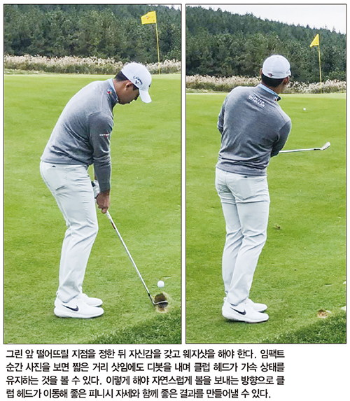 그린플레이 이미지