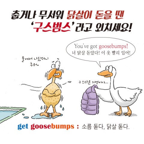 구스범스 이미지