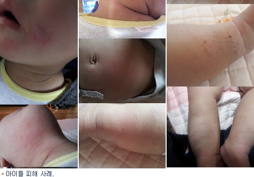 아이가루 이미지