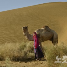 돼지우리 이미지