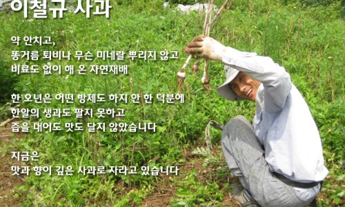 이철규사과 이미지