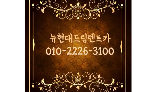 뉴현대렌트카주 이미지