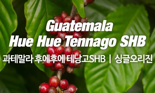 감탄커피 이미지