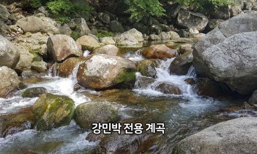 강민박 이미지